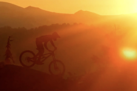 HAPPY NEW YEAR FROM THE DHARCO CREW