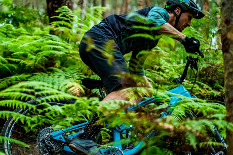 [R]EVIEWED: TRANSITION PATROL CARBON