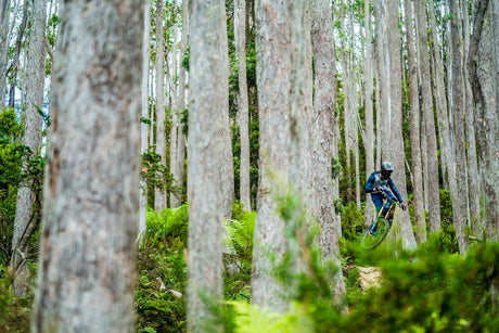 Duck 'N' Weave: Tyson Wise in Maydena