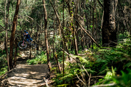 Matt Staggs Shreds In Front of the Lens