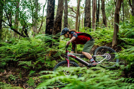 ECLIPSE: Matt Staggs